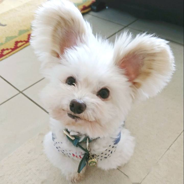 Ed699601 eb39 4fd0 8baf b9030d072429