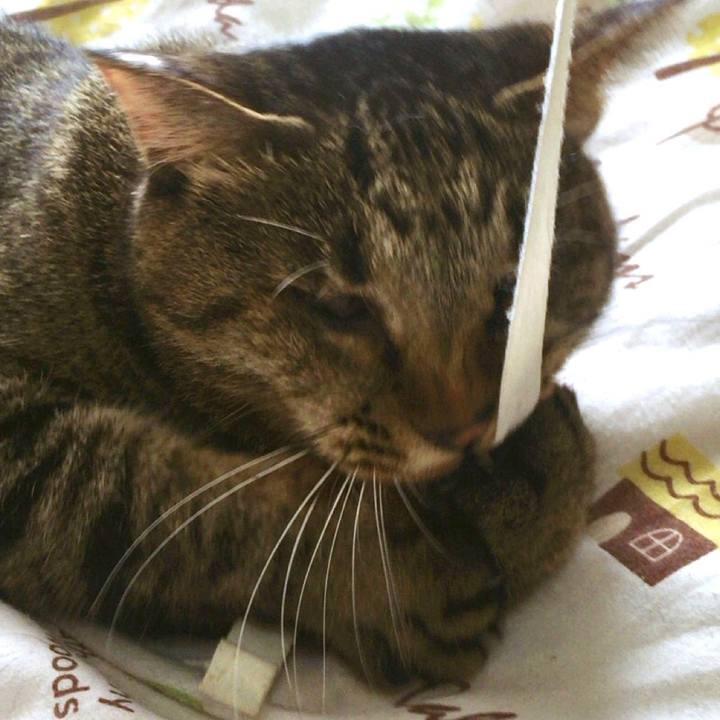 Ed69f643 8eff 4a33 823c 960aaf89e9c5