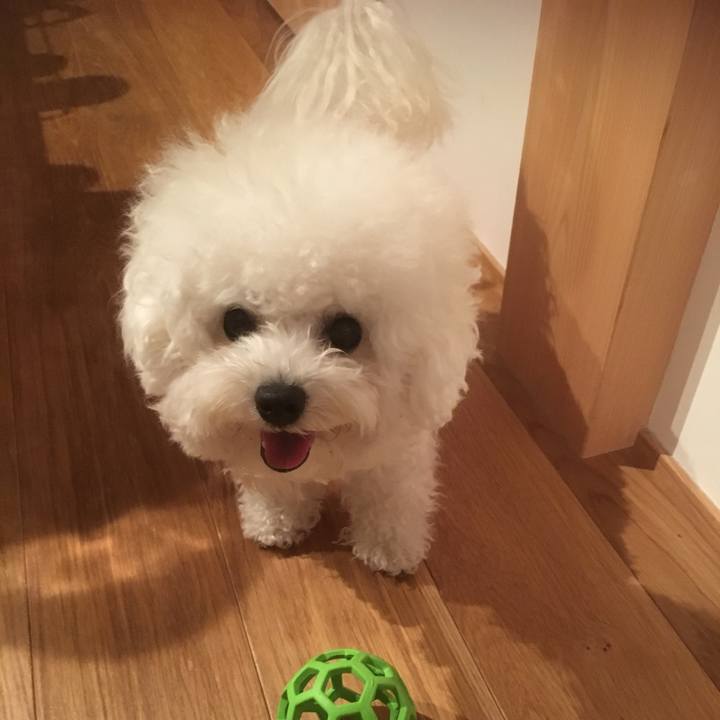 Ed6a2429 7be8 4080 a616 71c6becb3c44