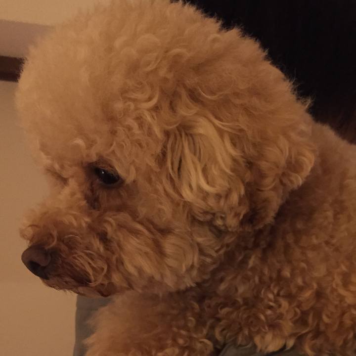 Ed6a29e2 387c 4a46 9afd df27d6f19130