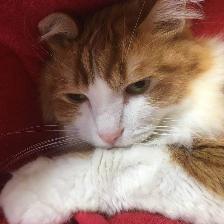 Ed6a8104 ba29 4ea5 ae10 42fc0921adc1