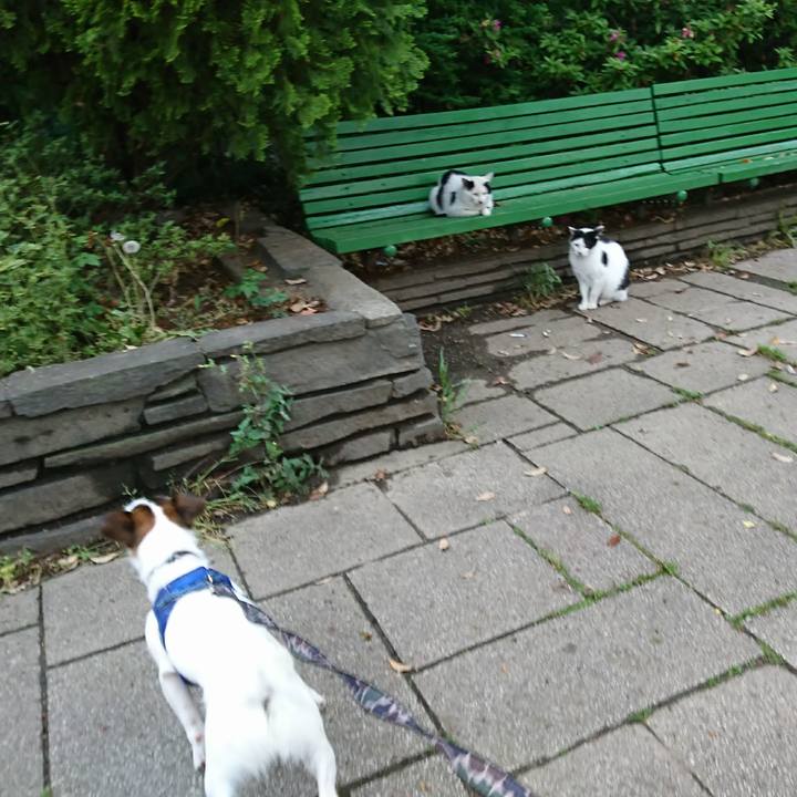 Ed6addfa 0797 44d9 9b1e 62374fb1c013