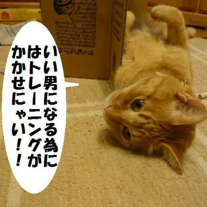 Ed6b1a34 f98d 43fe ac77 cfff65ddacf9