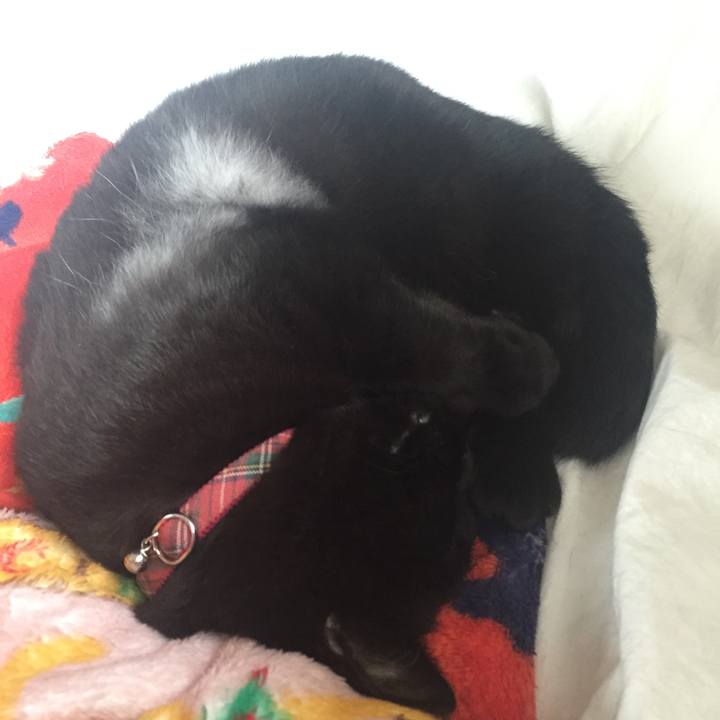 Ed6b23da 2242 4f9c accb 7848b9888742