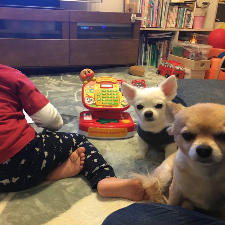 Ed6c0763 f439 4146 bcf8 4529ba10cd70