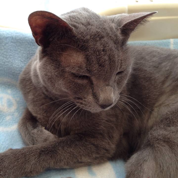 Ed6c180c 6e1c 4071 afbc 6be16aada00c