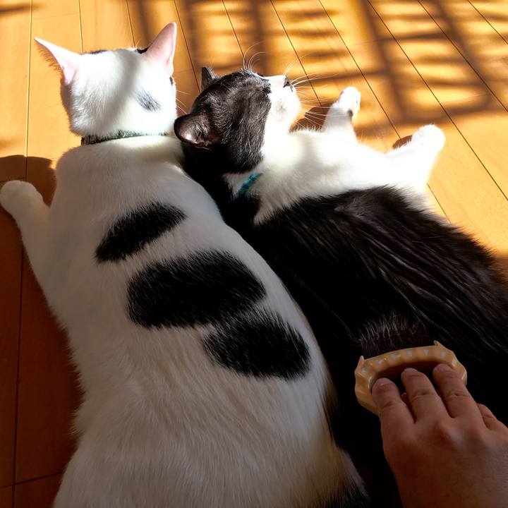 Ed6ca3d9 127a 42bc 9de4 57f64adbb540