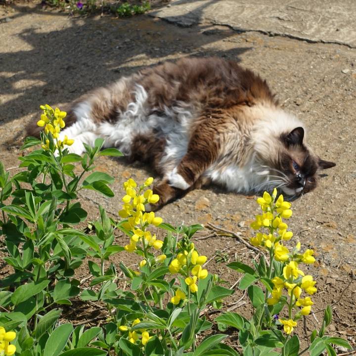 Ed6d7adb 2376 47b8 b049 20161456674b