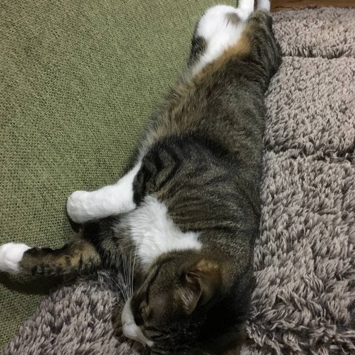 Ed6d7c84 0caf 410c 95a2 4940f7b24b6e