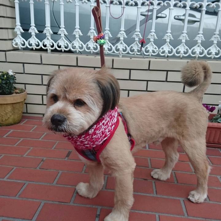 Ed6e0267 b5da 4bbd a23e c17a75c31af5