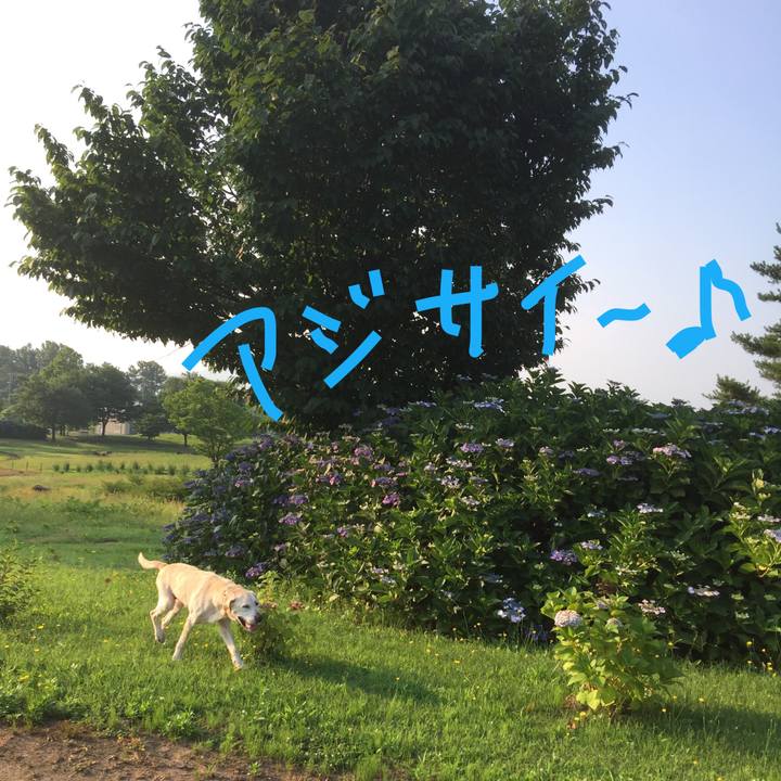 Ed6e5f9c 3df1 4231 ae7f b2ef68ab93d7