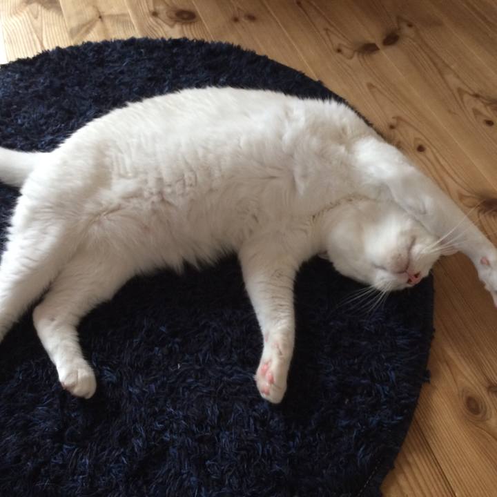 Ed6e956d 6d12 4878 ad89 a7a887572c47