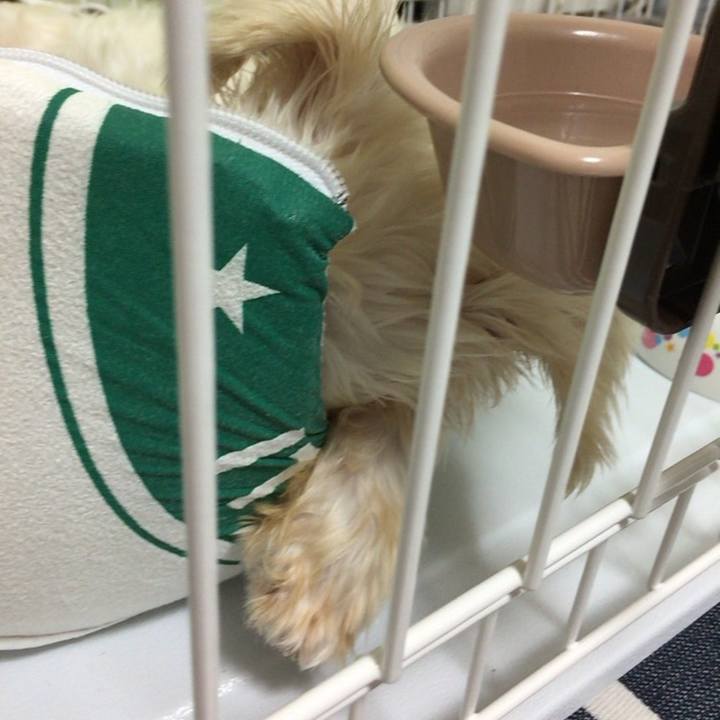 Ed6f4450 e51f 4067 a56c 9609c030e2f2