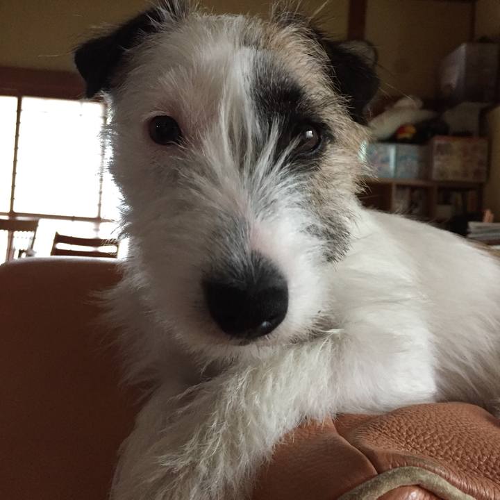 Ed6fb6c9 727b 45f2 b6fd 0a615071a1c2