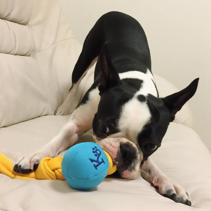 Ed6fd355 ada5 4afa bf3f be5546edfde3