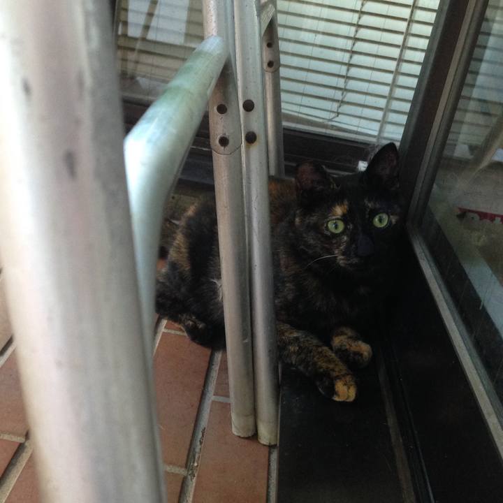 Ed6fefdd 1573 4b11 ad7b f86f3aaec73b