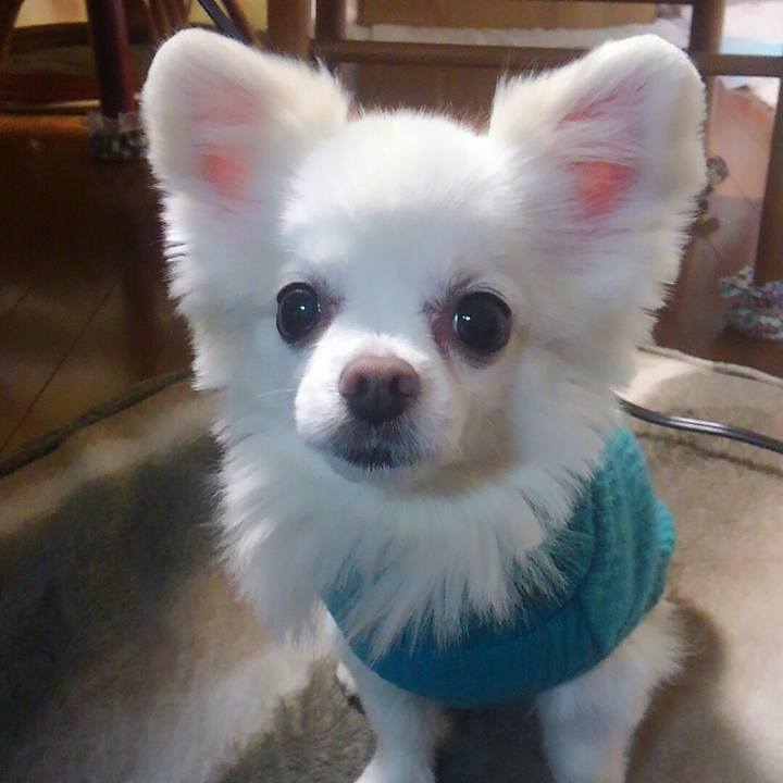 Ed717068 9e95 40a2 8980 273e7de306dc