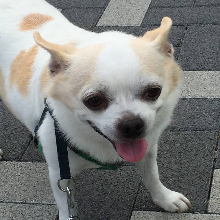 Ed717717 ddda 49da 89bb c80b0238d339