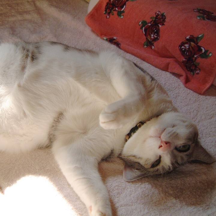 Ed71f00d 947f 4fe1 973c 195706427abd