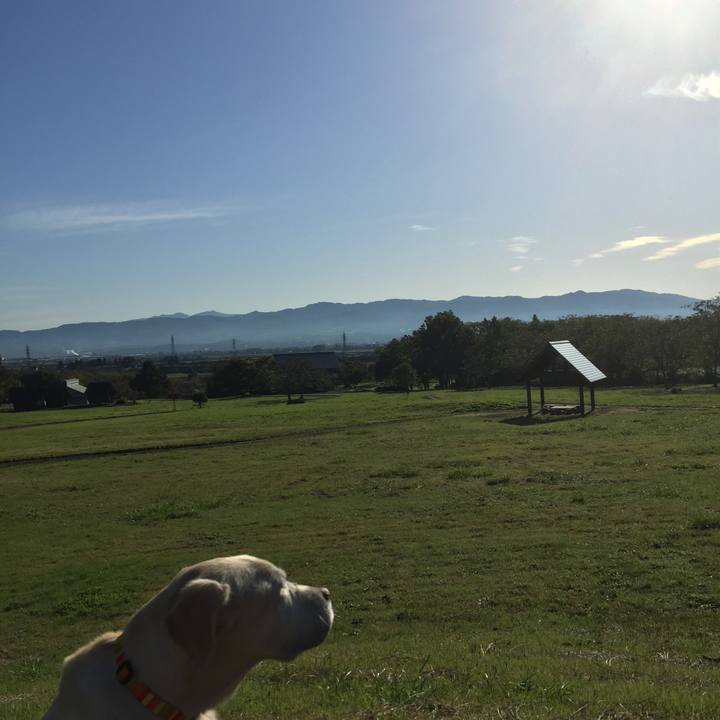 Ed720a89 5753 478f 9e64 d5cf98ad36be