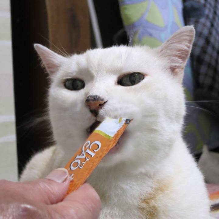 Ed73cdf8 09b6 446d bed7 730451d2d9e2