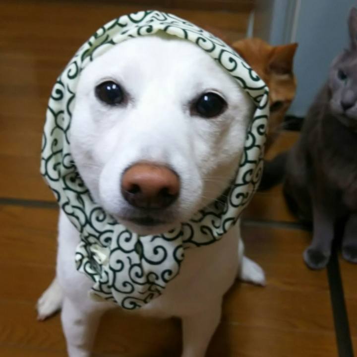 Ed73e0d6 7e57 4822 b4b5 b94eee5c4bfc