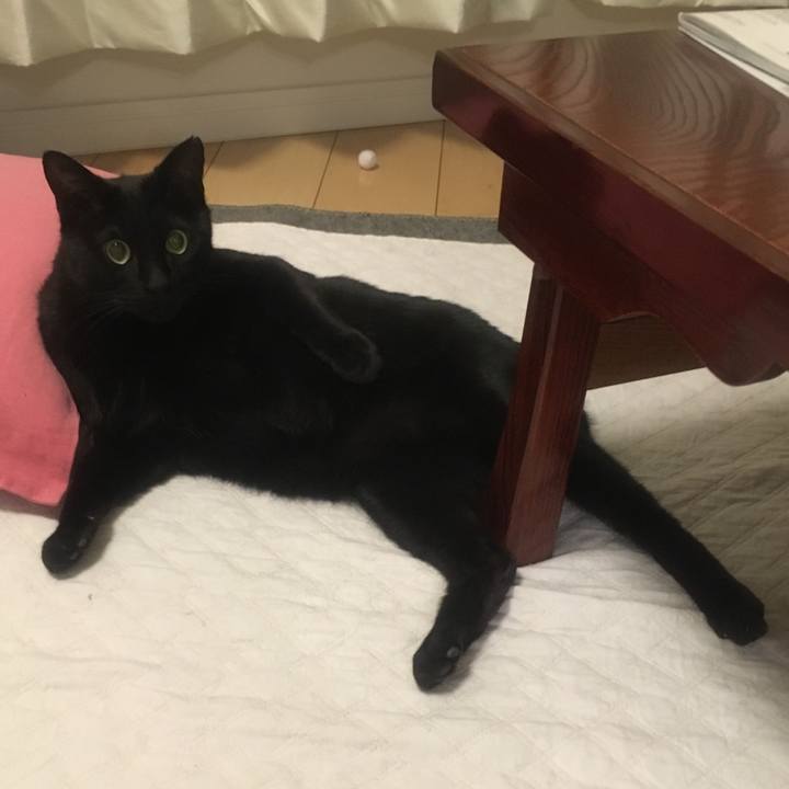 Ed740c11 51b9 4fff b721 7bfec3817985