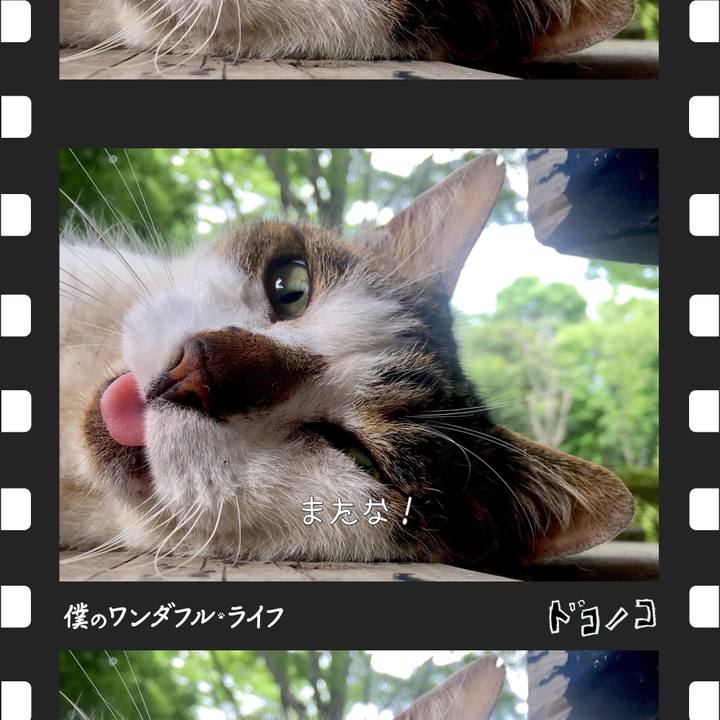 Ed747079 07e9 458a a327 cca320aa6454