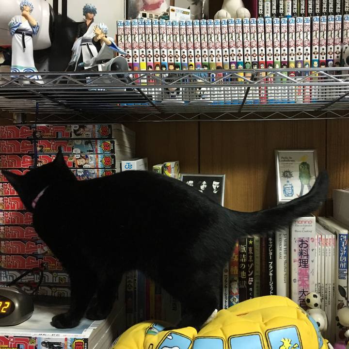 Ed74c8c9 98e3 46c5 af7d 974e05771d4c