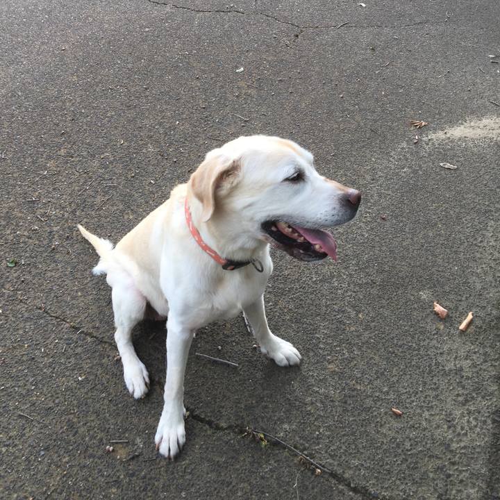 Ed759b56 d05b 459c 8519 20a353cd79a5