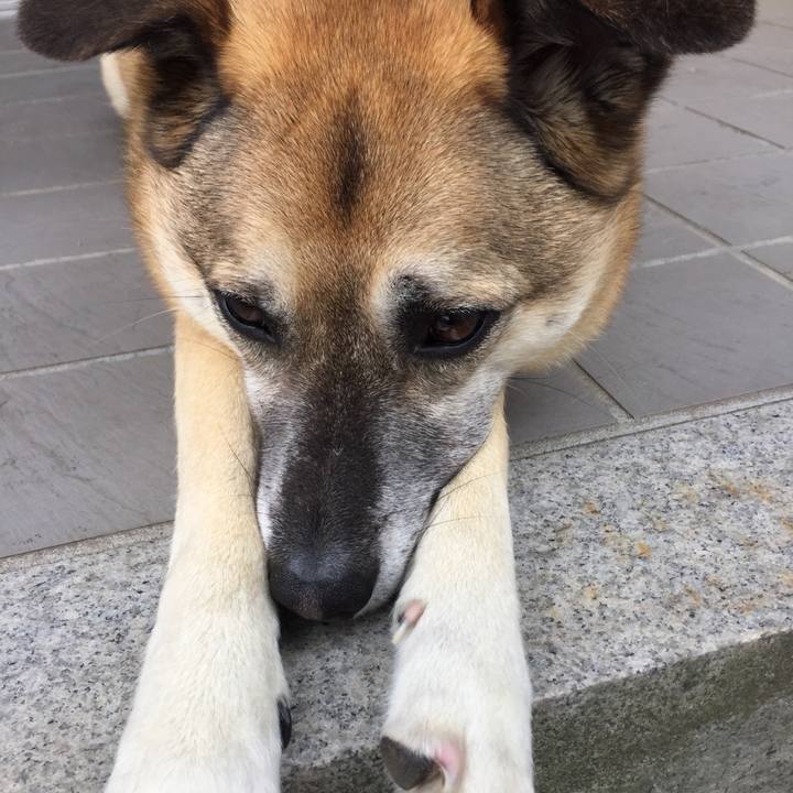 Ed7609df bb48 46bf a28e 982cd0fb8699