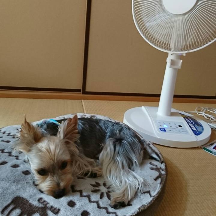 Ed76c29b 912e 4cb2 b805 ee5ad9629445