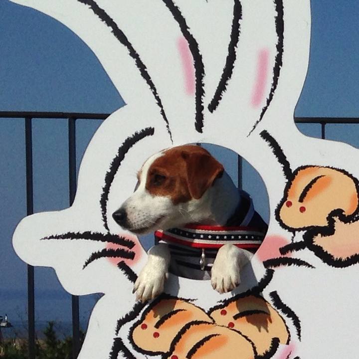 Ed77e0cb 547a 4c24 8983 3e51b94b87d9