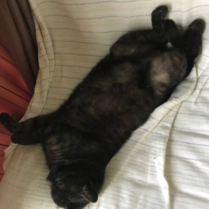 Ed78a898 af81 4a2b 8e27 3e822813cdc6