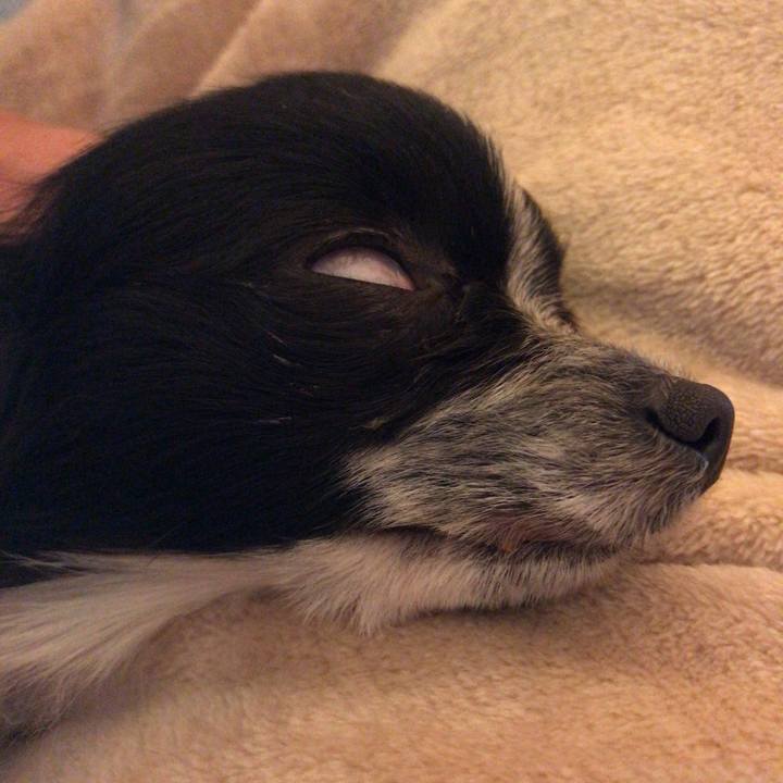 Ed797509 2684 42f8 b0f6 82a7d8722810