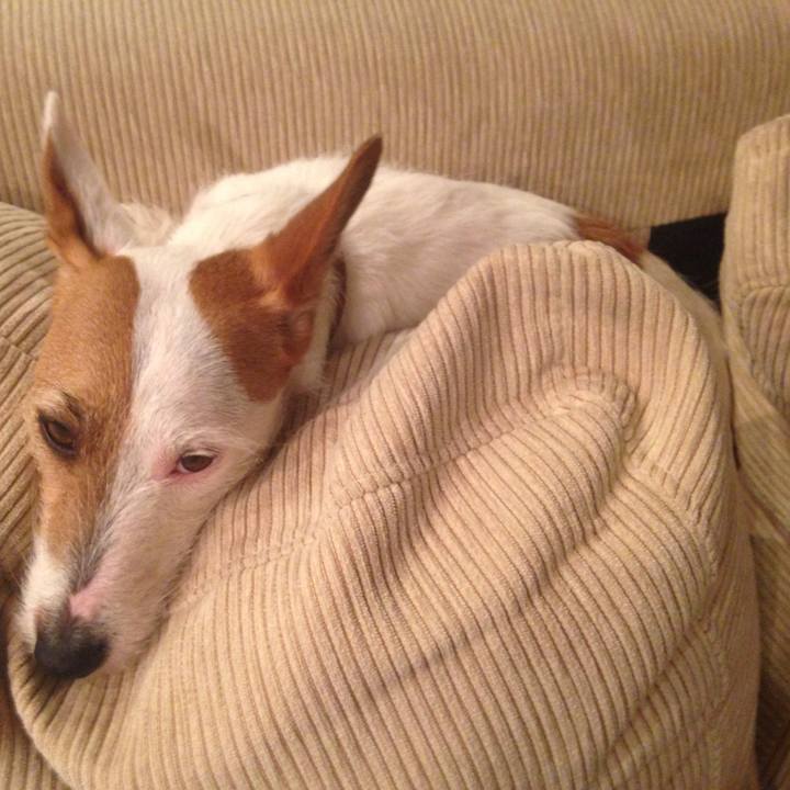 Ed79c2b8 7cec 4647 9637 8e3d2a9ef582