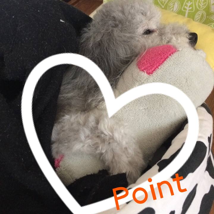 Ed7c0291 b2ab 46e2 828b c386a7aad62e