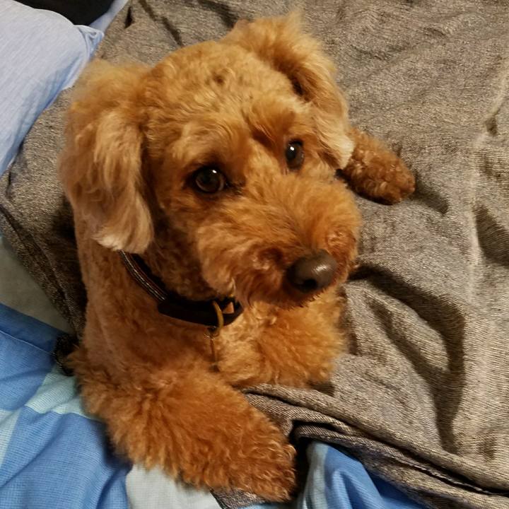 Ed7c103e 43b4 4d78 9f67 f69f0da73e49