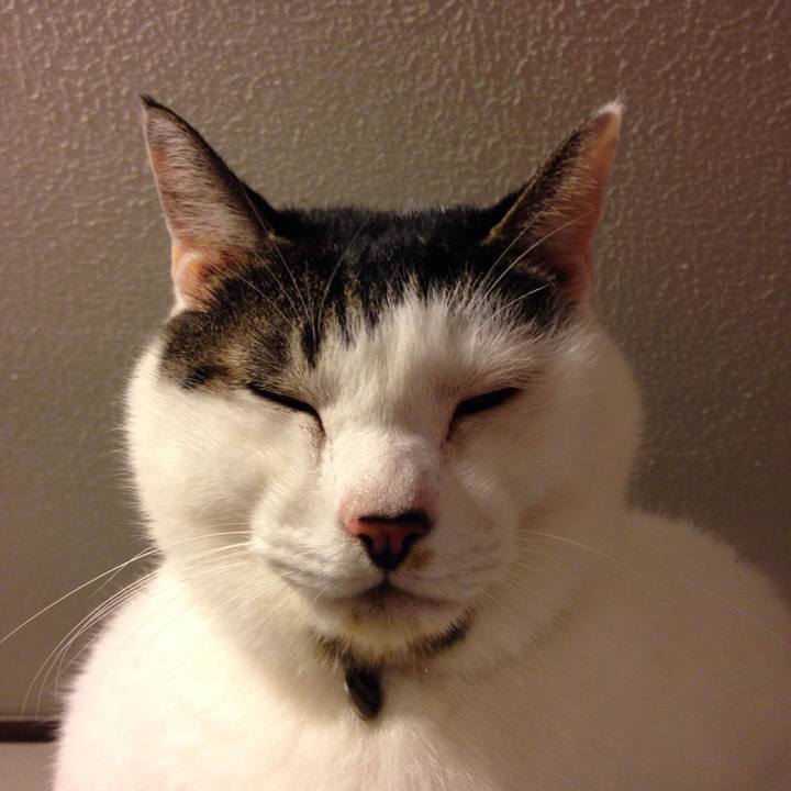 Ed7c47d2 3ca2 4d64 9c34 4210495e1b85