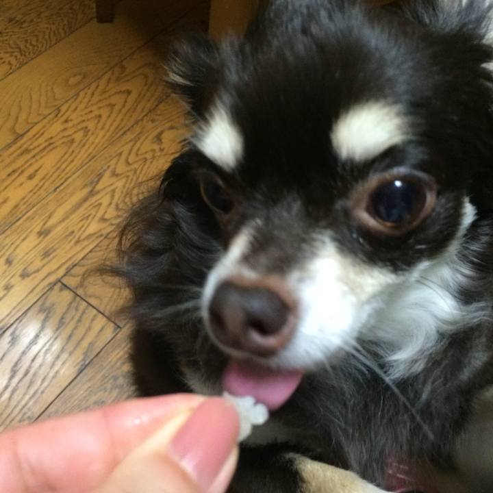 Ed7c91ea 3b92 499d b58c ed1a1bb235fe