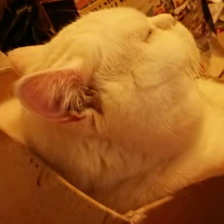 Ed7d1206 81b9 4c02 9dd7 bebdc2707e5a