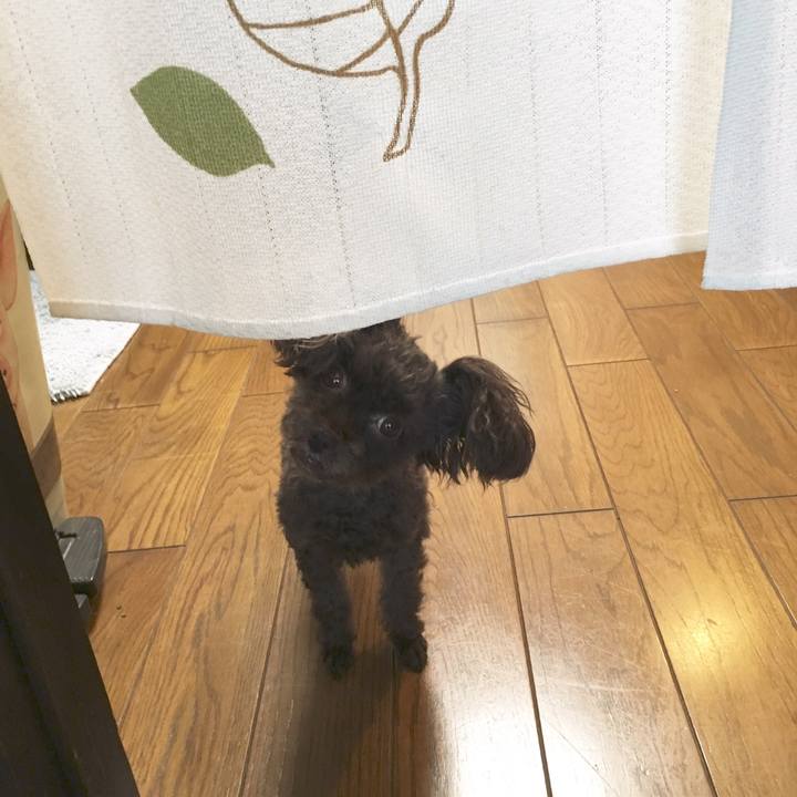 Ed7e2d2b 8684 40d5 90c7 fc2141c873f7