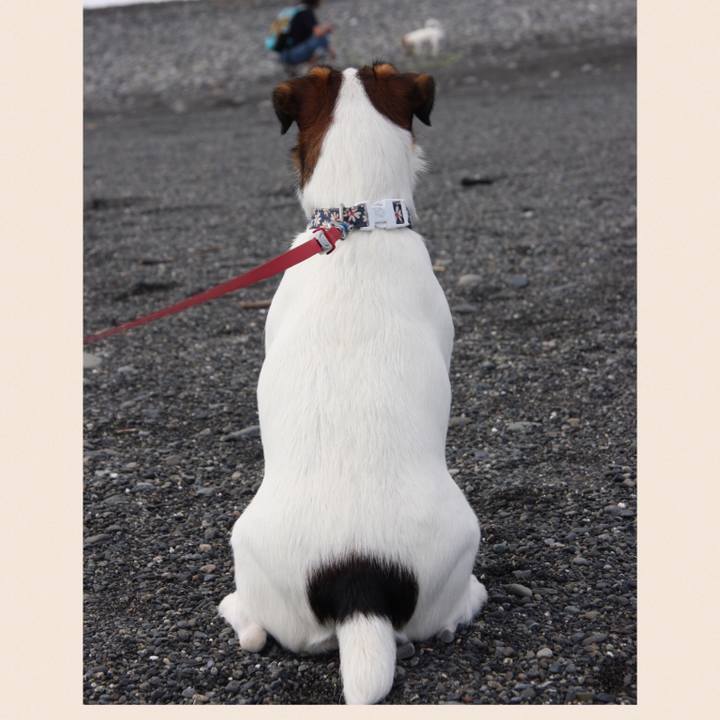 Ed7e4d75 f668 4f2e 8424 a1a5f090f19e