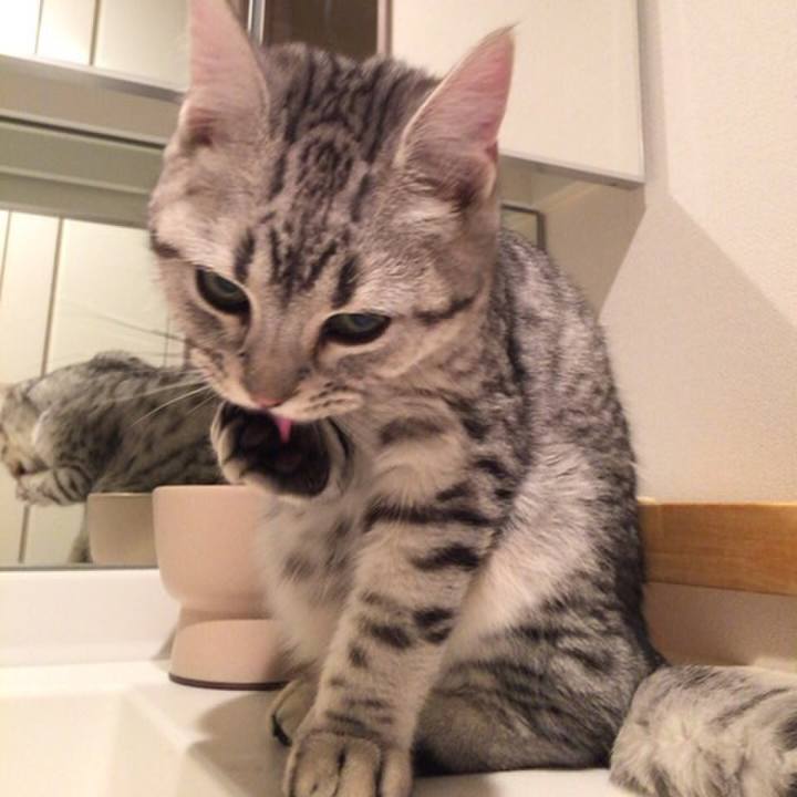 Ed7e80cc 7369 4486 ba12 510f6bd4e6f1