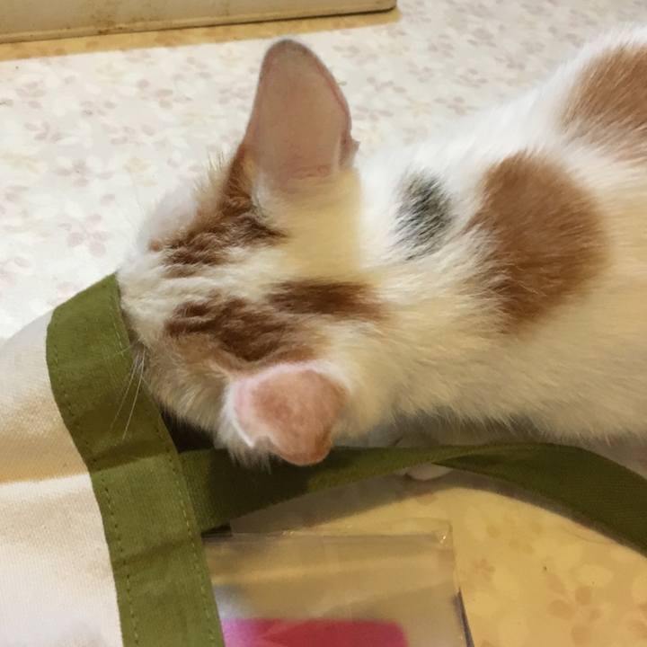 Ed7e93fe 9a03 432a 8bc2 cbbdd03a169e