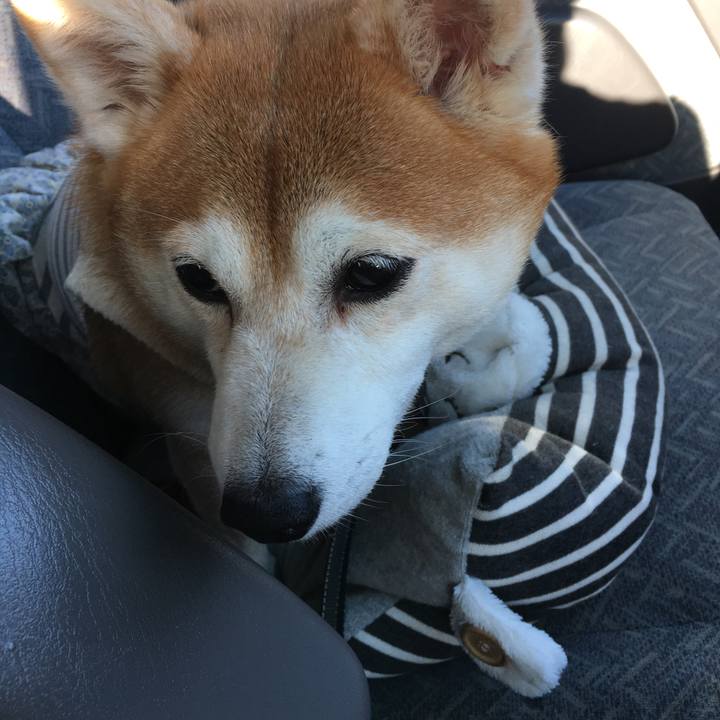 Ed7f1b77 1109 4ac4 b509 43be43958c74