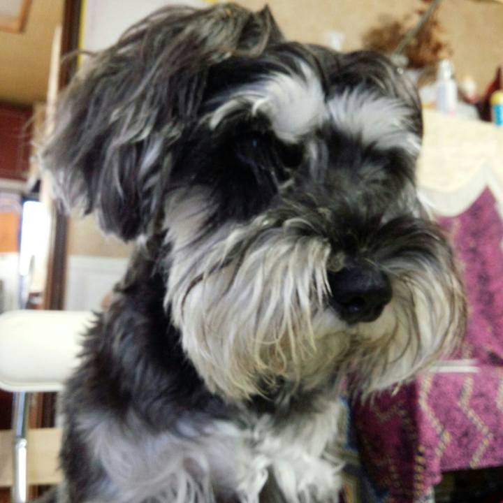 Ed7f350d e0c9 4cc1 a482 6ef5c84a9c60