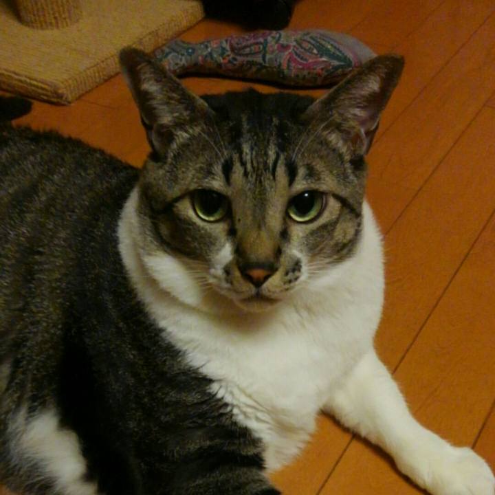 Ed7f5c81 5563 41ec 97be 5cd1329ecfc6