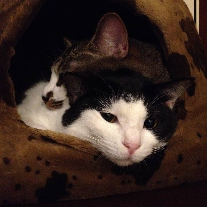 Ed7f84b0 36ba 4528 af6b 19bf001e709d