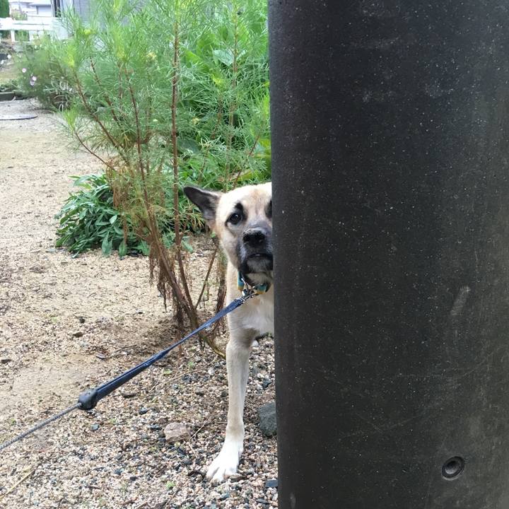 Ed803167 ac16 4165 b46e e9a62f6cf428